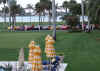 534887526503_0_BG.jpg (88440 bytes)