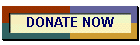 DONATE NOW
